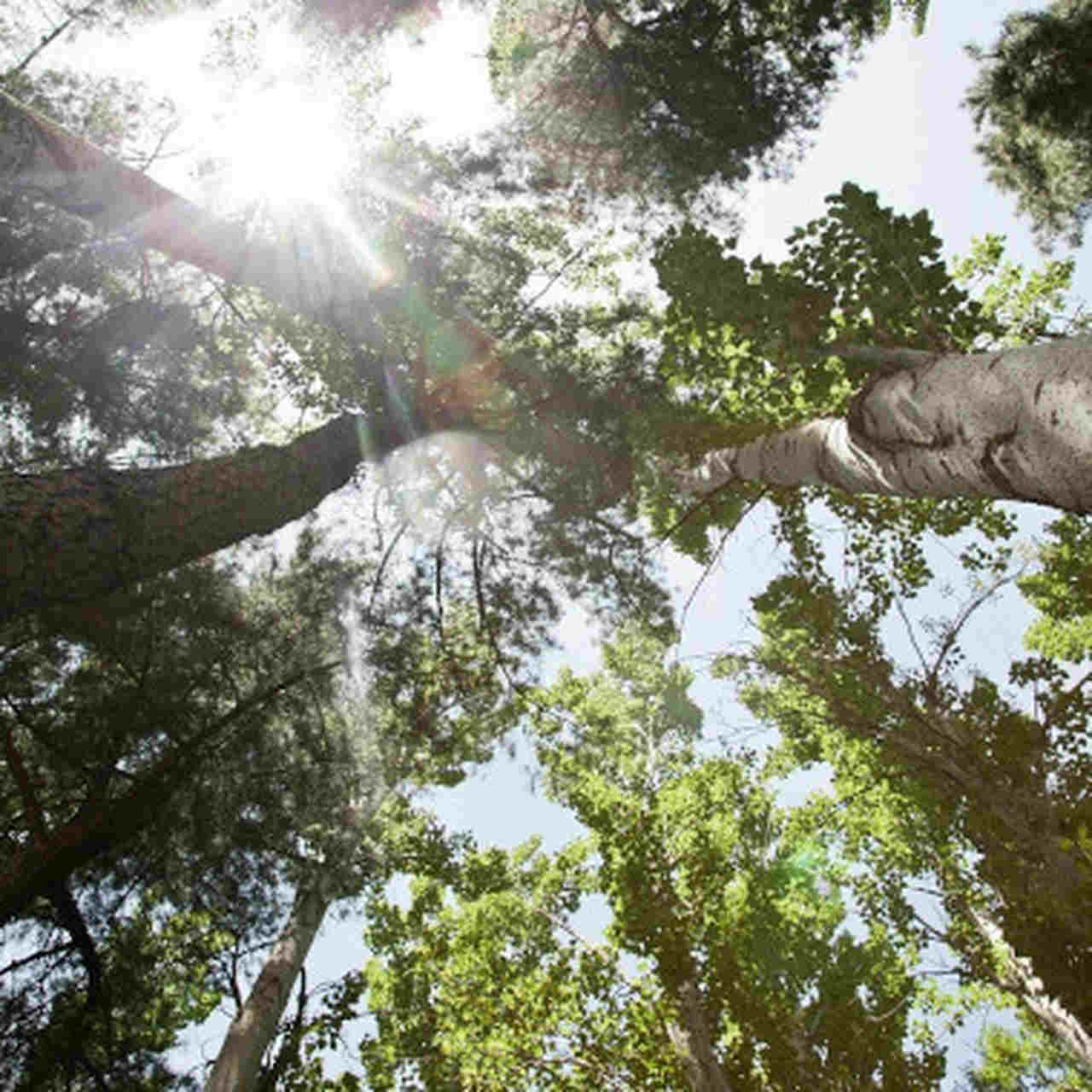 Experiencia de cliente | Flexible Places